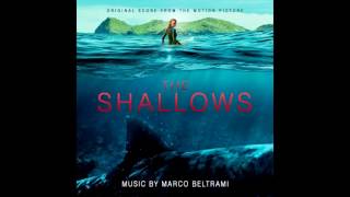 The Shallows OST  When Dudes Attack [upl. by Dleifniw]