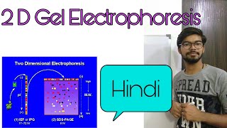 2D gel electrophoresis in Hindi [upl. by Byrann]