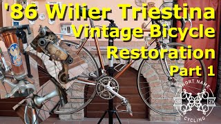 Wilier Triestina Ramato Restoration Part 1 [upl. by Alicirp]