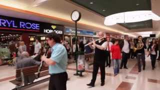 Flashmob symphonique  Centre commercial Auchan Noyelles [upl. by Norrabal527]