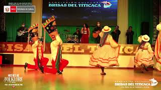 NEGRILLOS DE CHIVAY  NOVAFOLK PERU  Danzas Peruanas  Folklore Peruano [upl. by Mufinella324]