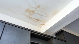 Common Causes of Water Stains on a Ceiling [upl. by Sidwell]