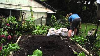 How to prepare a bed to plant garlic [upl. by Anaj]