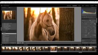 Tutorial  Basis Bildbearbeitung amp Retrolook mit Lightroom [upl. by Ludwog9]