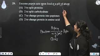 Enzyme pepsin acts upon food at a pH of about [upl. by Barraza642]