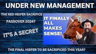 ITS GOING TO HAPPEN  THE SACRIFICE OF THE RED HEIFER  MT OLIVES [upl. by Lsiel]