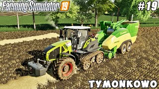 Harvesting triticale buying new tractor making straw pellets  Tymonkowo  FS 19  Timelapse 19 [upl. by Viradis474]