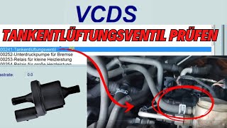 P0441 Tankentlüftungssystem Durchsatz fehlerhaft  Tankentlüftungsventil prüfen  VW Audi  VCDS [upl. by Edwine878]