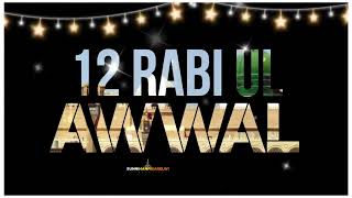 Coming soon Eid Miladun Nabiﷺ Status2024 12 Rabi Ul Awwal Status eidmiladunnabi miladunnabiﷺstatus [upl. by Cassandra]