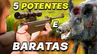 ⚠️Top 6 Melhores Carabinas de Pressão 2024 até 1000  Carabinas 55 GÁS RAM baratas e potentes [upl. by Corney]