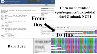 Cara Mudah Download GenSequenceNukleotida dari Genbank NCBI  2023 [upl. by Ellirehs]