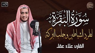 سورة البقرة كاملة لطرد الشياطين من منزلك وجلب البركه باذن الله surat albaqra [upl. by Infeld]