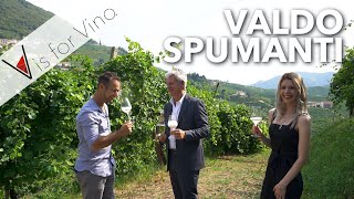 How They Grow amp Make amp Bottle Prosecco  Visit amp Tasting Valdo Spumanti Winery in Prosecco Italy [upl. by Ahsekyw]