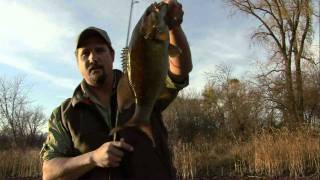 Throw Tubes For LateFall River Smallmouth [upl. by Dickie]