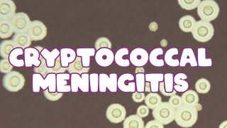 Cryptococcal meningitis  Pathogenesis  Lab diagnosis [upl. by Nueoht348]