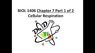 Chapter 7 part 1 of 2 Cellular Respiration [upl. by Pages]