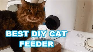 DIY CAT FOOD DISPENSER Best automatic feeder built to LAST [upl. by Lenno385]