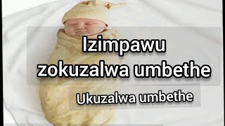 Ukuzalwa wembethe nezimpawu zakhona [upl. by Eniamrahs]