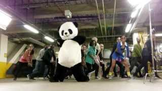 Panda Gangnam Style（팬더강남스타일） [upl. by Whitebook741]