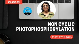 Non Cyclic Photophosphorylation  Plant Physiology  Class 11th  NEET amp AIIMS  Neela Bakore [upl. by Nemrak]