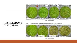 Influência das concentrações de Fe e Mn na fitorremediação de As pela espécie vegetal Spirodela sp [upl. by Oiramrej]