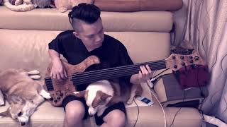 Obscura Diluvium Ekpyrosis Fretless bass cover [upl. by Humfried416]