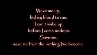 Linkin Park amp Evanescence  Wake Me Up Inside  Music Lyrics HD [upl. by Willner]