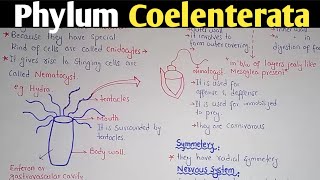 General characteristics Of Phylum Coelenterata  Phylum Cnidaria [upl. by Alihs826]