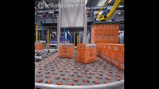 Depalletizing 1 layer Martini in warehouse of a leading logistics company for alcoholic beverages [upl. by Satsoc]