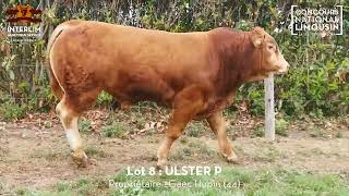 LOT 8  ULSTER P  Vente Grand Cru 2024 [upl. by Emelina489]