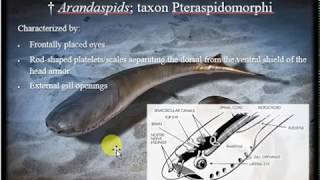 History of Life Pt 2 Paleozoic Era  Ordovician through Permian Periods [upl. by Idnahk]