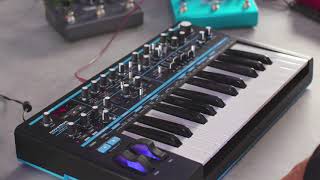 Novation  Bass Station II 25  Micro Tuning [upl. by Odilo]