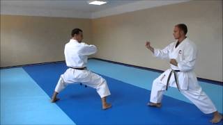 heian godan bunkai [upl. by Sucitivel]