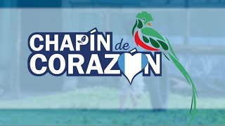 ChapÍn de Corazón  Artistas Guatemaltecos Video Oficial [upl. by Nuawd]