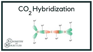 Hybridization of CO2 Carbon Dioxide [upl. by Notsew753]