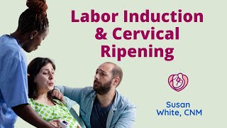 Labor Induction and Cervical Ripening Pitocin and other Methods of Inducing Labor [upl. by Millda]