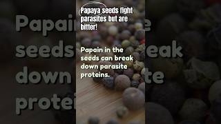 03  Parasite Solution CHEW This Herb Papaya Seeds to Eliminate Parasites papayaseeds parasites [upl. by Latreshia]