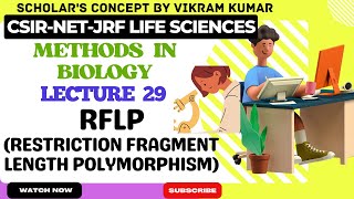 RFLP Restriction Fragment Length Polymorphism  Methods in Biology [upl. by Benge971]