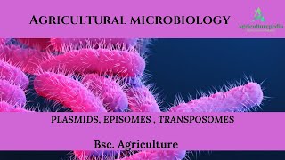 Plasmids Episomes Transposons Best explanation in hindi and english [upl. by Valentijn]