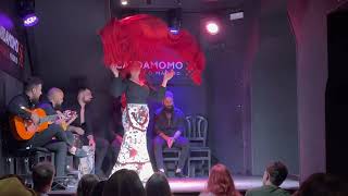 Cardamomo Flamenco Show Madrid [upl. by Slein583]