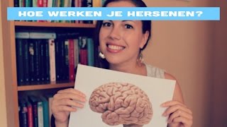 Hoe werkt je brein voor beginners [upl. by Maurer657]