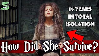 How Did Bellatrix Survive Azkaban Extended  Updated Version [upl. by Loren]