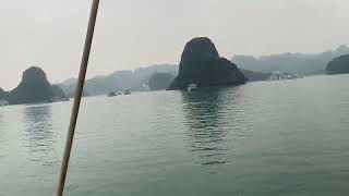 Halong Bay Exploration Navigating the Jewel of Vietnam [upl. by Notlit]