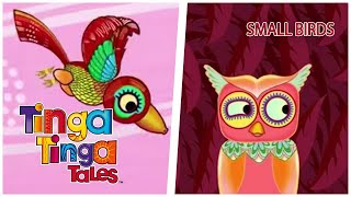 Do You Know About Small Birds  Tinga Tinga Tales  Full Episodes  Cartoons for Kids [upl. by Norabel]