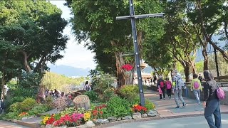 Tai Po Waterfront Park HongKong [upl. by Ute]