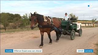 Tour de France de Fanny et Texas en calèche [upl. by Nyraa]