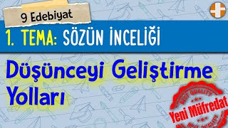 9 Edebiyat  Düşünceyi Geliştirme Yolları [upl. by Akenehs]