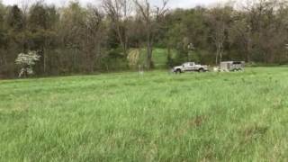 Louter Creek Hunting Poodles training a mini poodle [upl. by Notnelc]