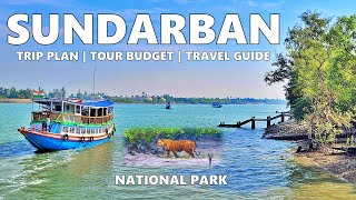 Sundarban Tour Guide Trip Plan Tour Budget Travel Vlog  Sundarbans National Park  Sundarbn Tour [upl. by Acessej]