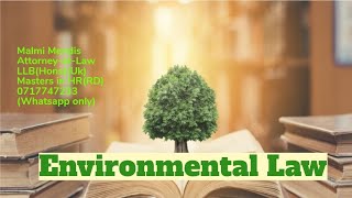 Environmental LawLaw College Preliminary yearFree Class2024 October Exam [upl. by Eenert]